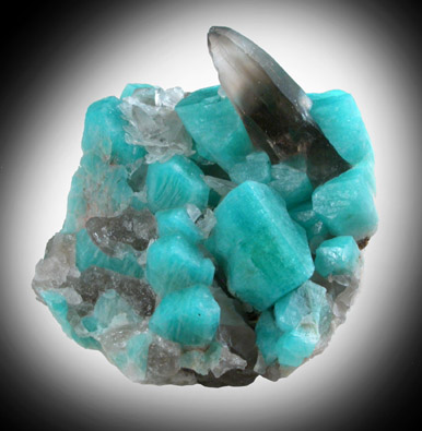 Quartz var. Smoky with Microcline var. Amazonite from Two Point Mine, Florissant, Teller County, Colorado