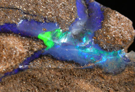 Opal var. Boulder Opal from Aeromaga Area, Queensland, Australia