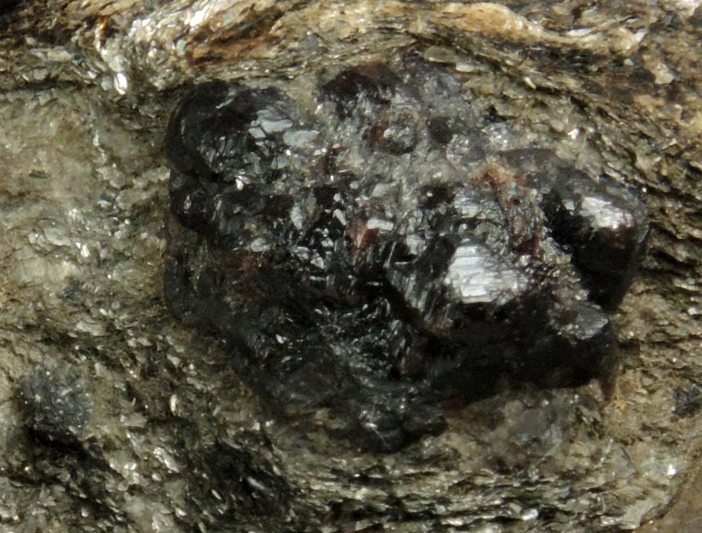 Almandine Garnet in schist from near the Spuyten Duyvil, northern Manhattan Island, New York City, New York County, New York