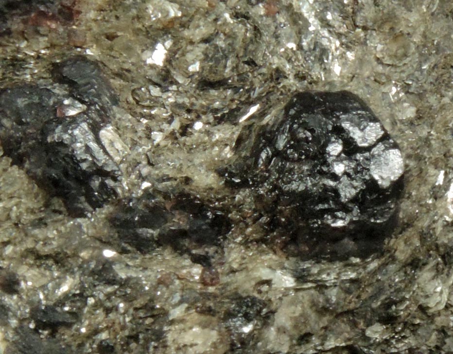 Almandine Garnet in schist from near the Spuyten Duyvil, northern Manhattan Island, New York City, New York County, New York