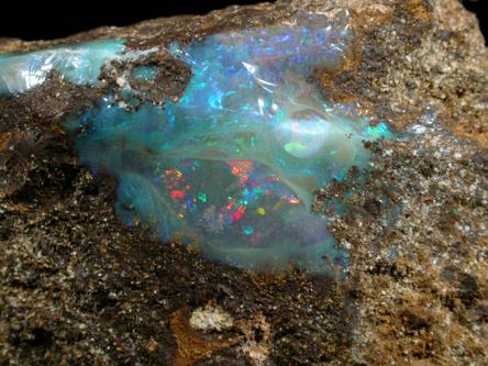 Opal var. Boulder Opal from Aeromaga Area, Queensland, Australia