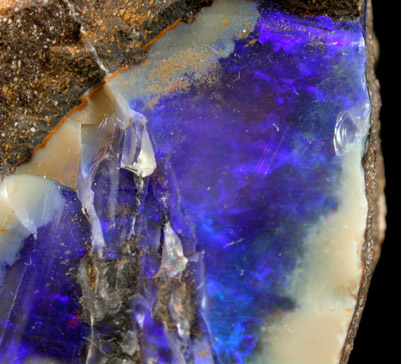 Opal var. Boulder Opal from Aeromaga Area, Queensland, Australia