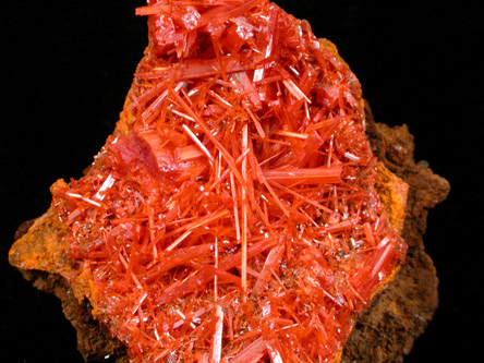 Crocoite from Dundas, Tasmania, Australia