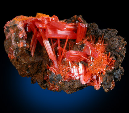 Crocoite from Dundas, Tasmania, Australia