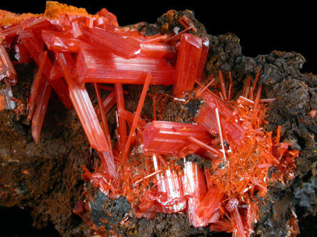 Crocoite from Dundas, Tasmania, Australia