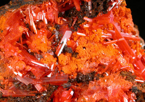 Crocoite with Gibbsite from Dundas, Tasmania, Australia