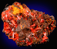 Crocoite with Gibbsite from Dundas, Tasmania, Australia