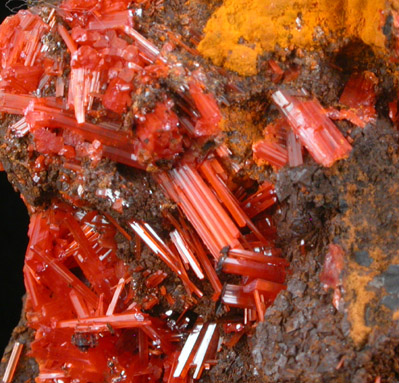 Crocoite with Gibbsite from Dundas, Tasmania, Australia