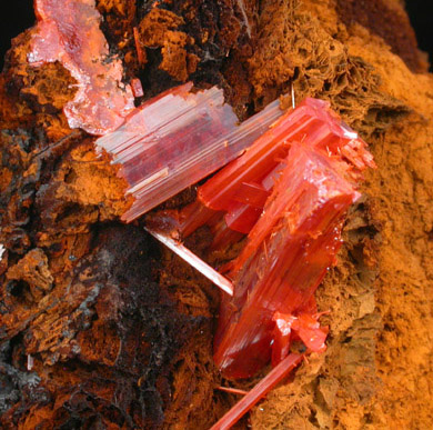 Crocoite from Dundas, Tasmania, Australia