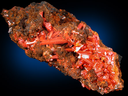 Crocoite from Dundas, Tasmania, Australia