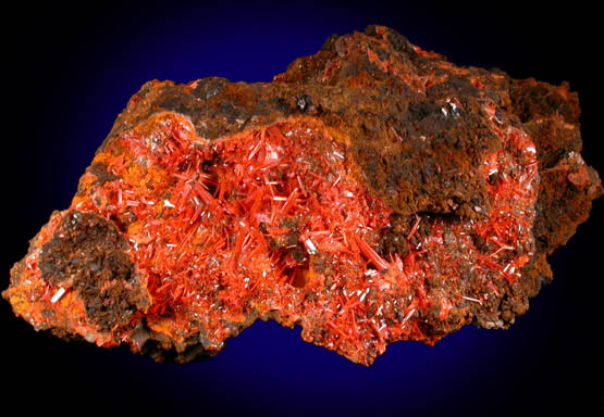 Crocoite from Dundas, Tasmania, Australia