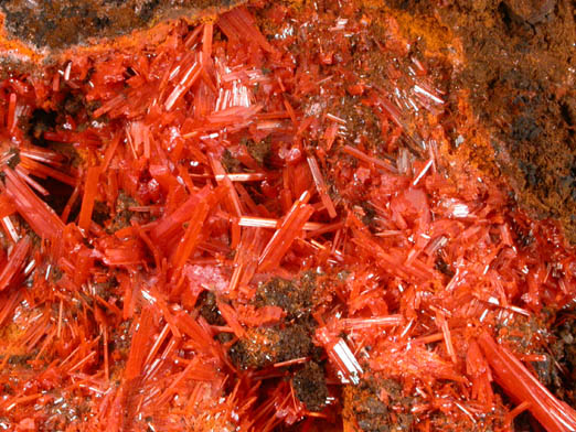 Crocoite from Dundas, Tasmania, Australia