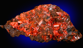 Crocoite from Dundas, Tasmania, Australia