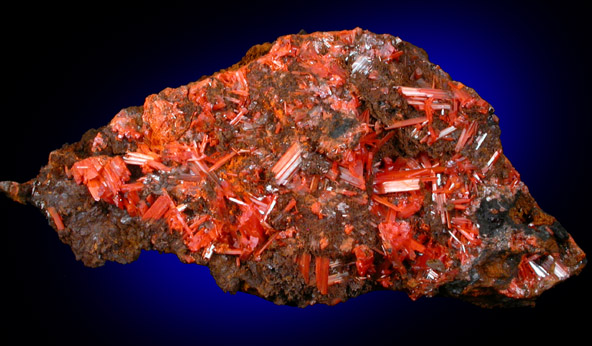 Crocoite from Dundas, Tasmania, Australia