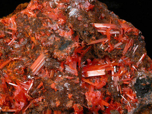 Crocoite from Dundas, Tasmania, Australia