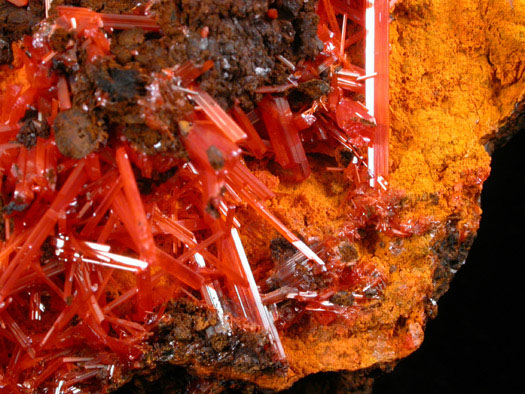 Crocoite with Gibbsite from Dundas, Tasmania, Australia