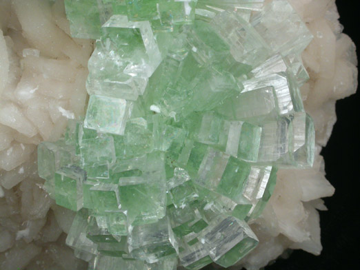 Apophyllite on Stilbite from Momin Akhada, near Rahuri, 50 km north of Ahmednagar, Maharashtra, India (Type Locality for Collected ca. 2001)