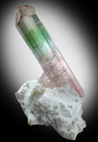 Elbaite Tourmaline on Albite from Paprok, Kamdesh District, Nuristan Province, Afghanistan