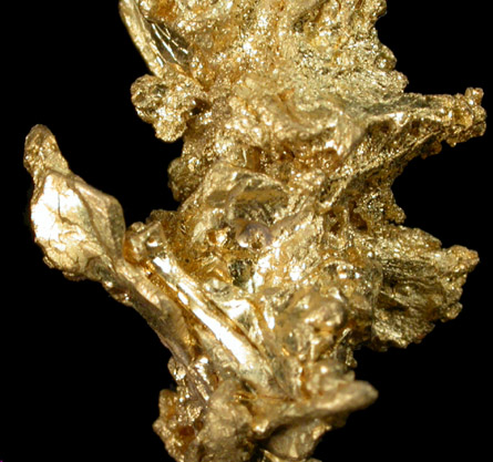Gold (crystallized) from Eagle's Nest Mine, Placer County, California