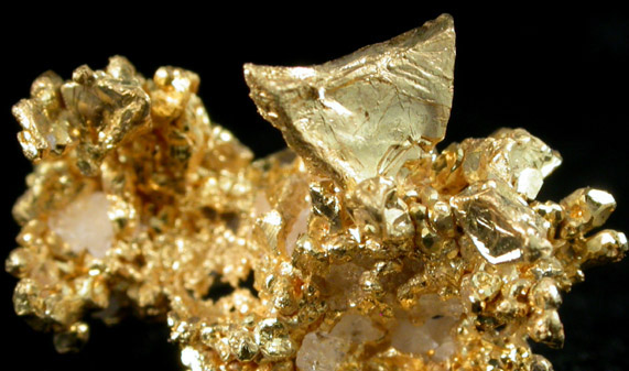 Gold from Eagle's Nest Mine, Placer County, California