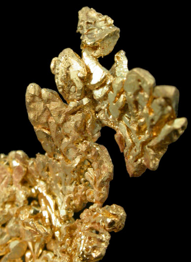 Gold from Eagle's Nest Mine, Placer County, California