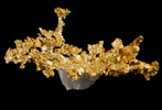 Gold from Eagle's Nest Mine, Placer County, California