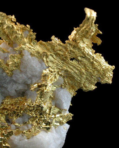 Gold in Quartz from Eagle's Nest Mine, Placer County, California