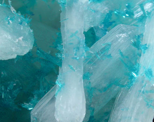 Cavansite with Stilbite-Ca from Wagholi Quarry, Maharashtra, India