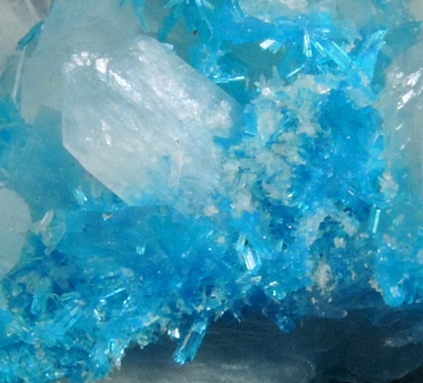 Cavansite with Stilbite-Ca from Wagholi Quarry, Maharashtra, India