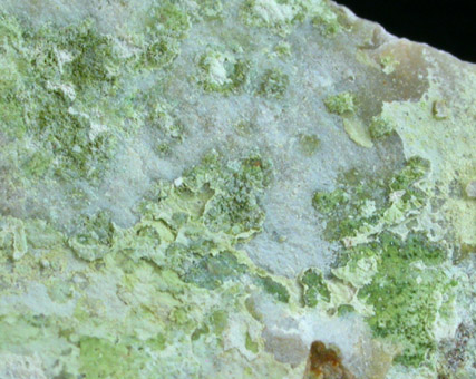 Aheylite from Bali-Lo, Ashburton Downs, Western Australia, Australia