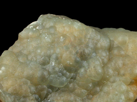 Fluorapatite var. Staffelite from Staffel, Hessen, Germany (Type Locality for Staffelite)