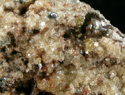 Chondrodite with Magnesioferrite from Monte Somma, Vesuvius, Campania, Italy (Type Locality for Magnesioferrite)