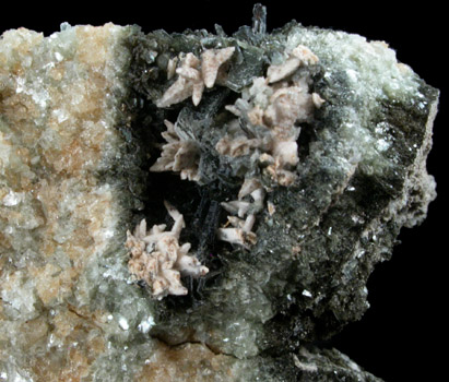 Cuspidine with Biotite from Monte Somma, Vesuvius, Campania, Italy (Type Locality for Cuspidine)