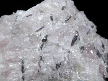 Ellenbergerite with Pyrope and Coesite from Dora-Meira Massif, Parigi, Piemonte, Italy (Type Locality for Ellenbergerite)