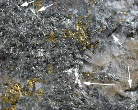 Emplectite from Grube Tannenbaumstollen, Antonsthal, Scwarzenberg, Saxony, Germany (Type Locality for Emplectite)