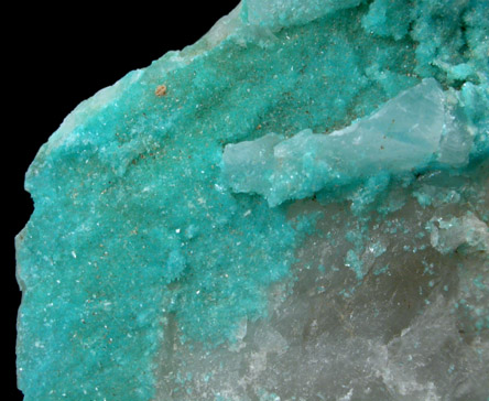 Turquoise crystals on Quartz from Bishop Mine, Lynch Station , Campbell County, Virginia