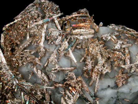 Silver in Calcite from Andres del Rio District, Batopilas, Chihuahua, Mexico