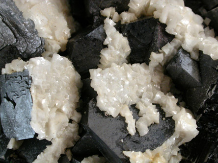 Galena with Dolomite from Black Cloud Mine, Leadville District, Lake County, Colorado