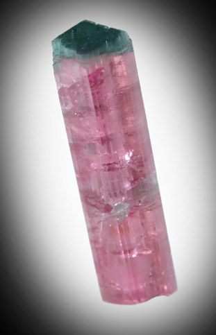 Elbaite var. Rubellite Tourmaline from Mount Mica Quarry, Paris, Oxford County, Maine