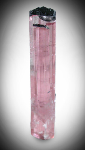 Elbaite var. Rubellite Tourmaline from Mount Mica Quarry, Paris, Oxford County, Maine