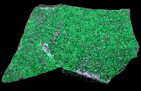 Uvarovite Garnet from Saranovskoye Mine, Sarany, Permskaya Oblast', Ural Mountains, Russia (Type Locality for Uvarovite)