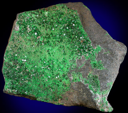 Uvarovite Garnet from Saranovskoye Mine, Sarany, Permskaya Oblast', Ural Mountains, Russia (Type Locality for Uvarovite)