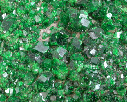 Uvarovite Garnet from Saranovskoye Mine, Sarany, Permskaya Oblast', Ural Mountains, Russia (Type Locality for Uvarovite)