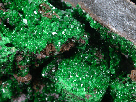 Uvarovite Garnet from Saranovskoye Mine, Sarany, Permskaya Oblast', Ural Mountains, Russia (Type Locality for Uvarovite)