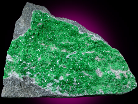 Uvarovite Garnet from Saranovskoye Mine, Sarany, Permskaya Oblast', Ural Mountains, Russia (Type Locality for Uvarovite)