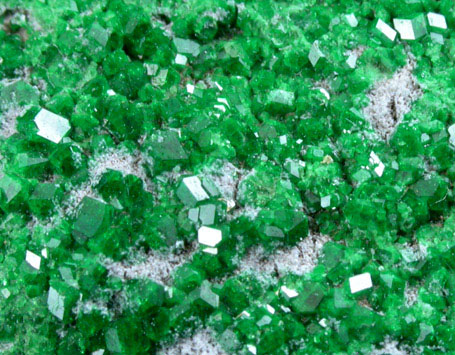 Uvarovite Garnet from Saranovskoye Mine, Sarany, Permskaya Oblast', Ural Mountains, Russia (Type Locality for Uvarovite)