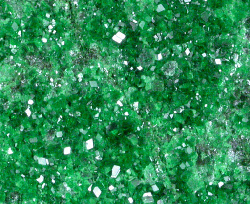 Uvarovite Garnet from Saranovskoye Mine, Sarany, Permskaya Oblast', Ural Mountains, Russia (Type Locality for Uvarovite)