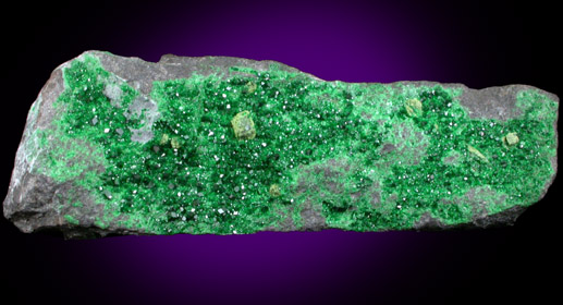 Uvarovite Garnet from Saranovskoye Mine, Sarany, Permskaya Oblast', Ural Mountains, Russia (Type Locality for Uvarovite)