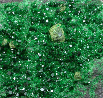 Uvarovite Garnet from Saranovskoye Mine, Sarany, Permskaya Oblast', Ural Mountains, Russia (Type Locality for Uvarovite)