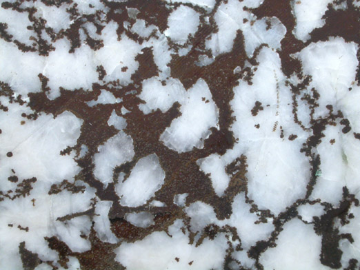 Algodonite, Domeykite, As-rich Copper var. Mohawkite from Mohawk Mine, Kearsarge Amygdaloid lode, Michigan (Type Locality for Mohawkite)